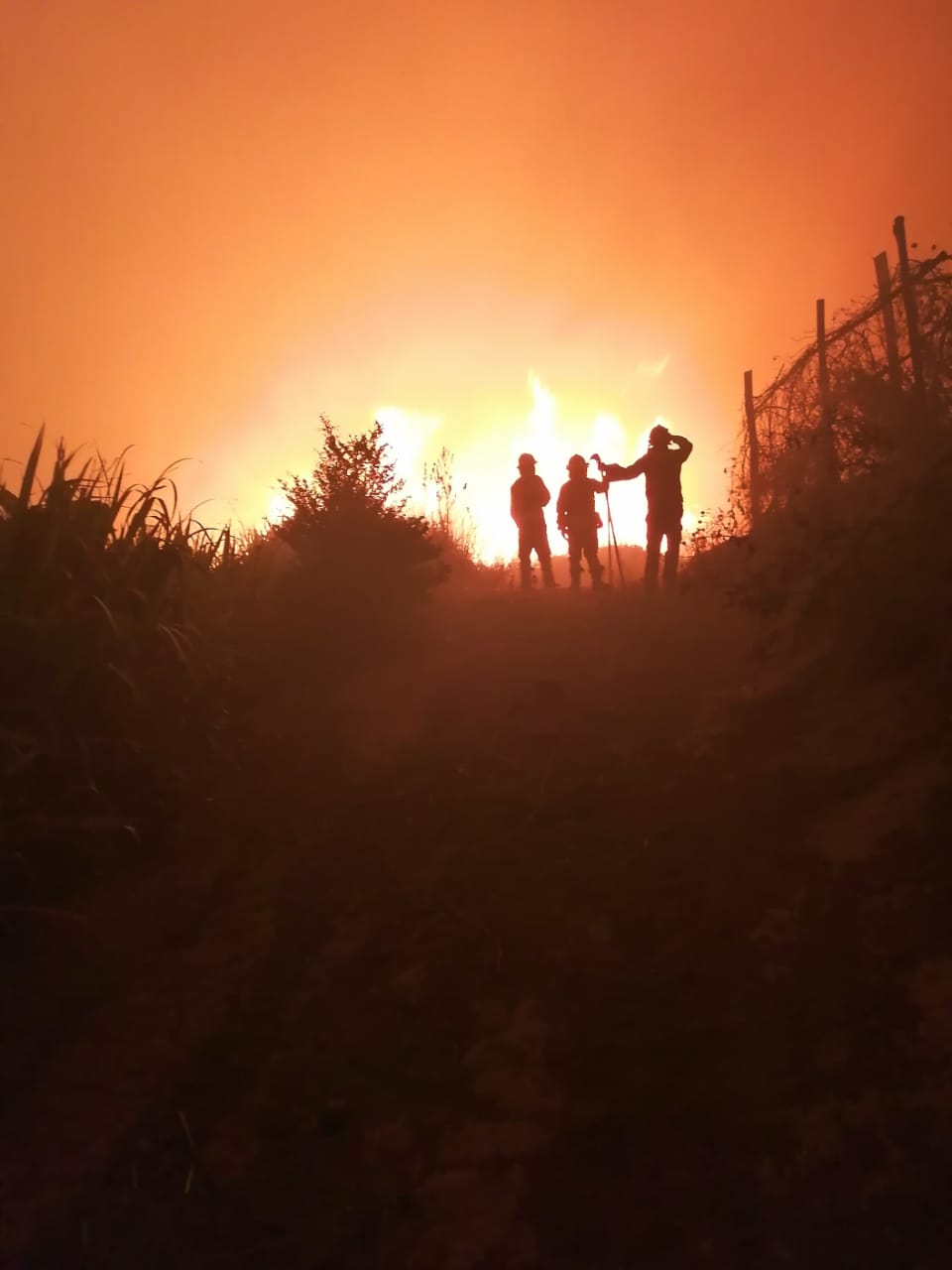 WhatsApp Image 2023-08-31 at 12.55.29 (1)