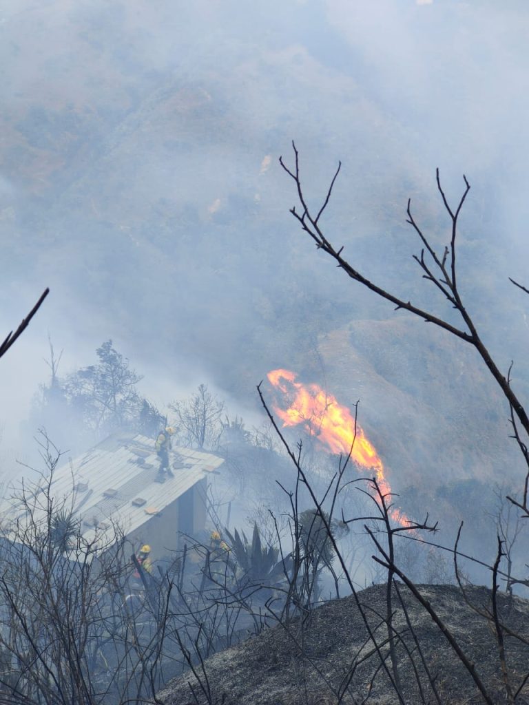 WhatsApp Image 2023-08-31 at 12.55.29