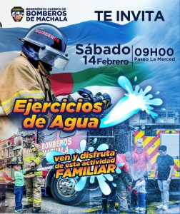 WhatsApp Image 2026-02-10 at 08.33.55